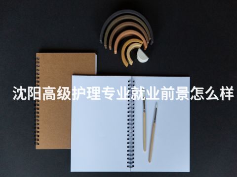 沈阳高级护理专业就业前景怎么样