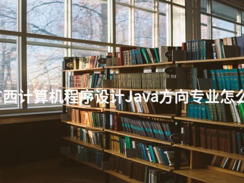 广西计算机程序设计Java方向专业怎么样