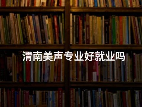 渭南美声专业好就业吗