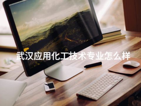 武汉应用化工技术专业怎么样
