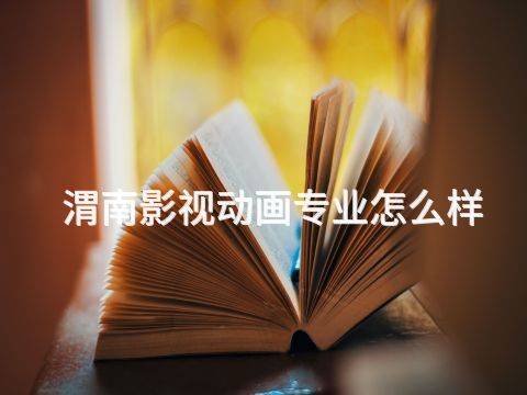 渭南影视动画专业怎么样