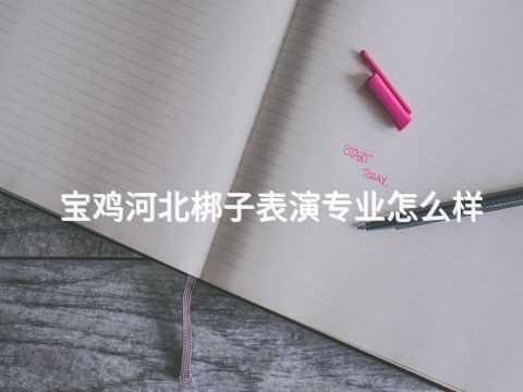 宝鸡河北梆子表演专业怎么样