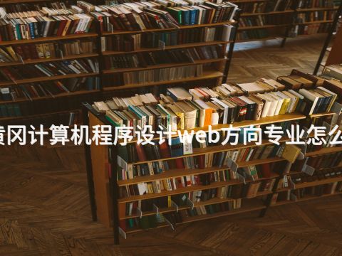 黄冈计算机程序设计web方向专业怎么样