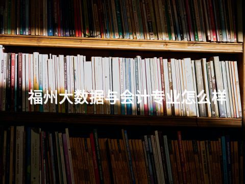 福州大数据与会计专业怎么样(图1)
