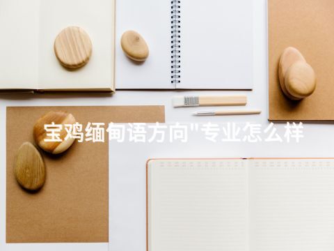 宝鸡缅甸语方向"专业怎么样