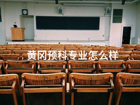 黄冈预科专业怎么样