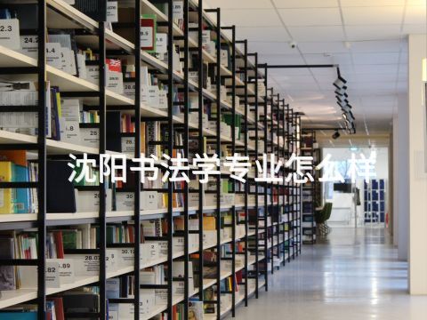 沈阳书法学专业怎么样