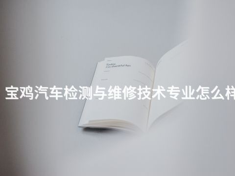 寶雞汽車檢測與維修技術專業怎么樣(圖1) 寶雞汽車檢測與維修技術專業怎么樣(圖1)