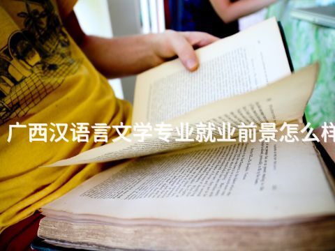 廣西漢語言文學專業(yè)就業(yè)前景怎么樣