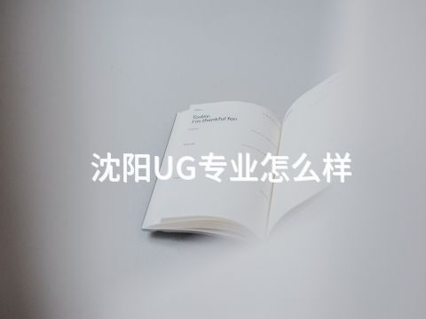 沈阳UG专业怎么样