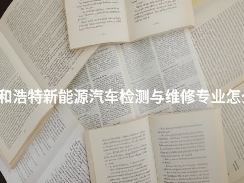 呼和浩特新能源汽车检测与维修专业怎么样