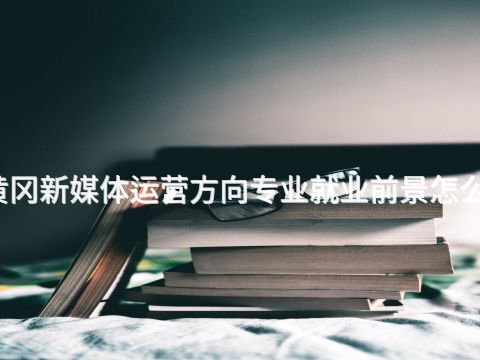 黃岡新媒體運營方向專業就業前景怎么樣