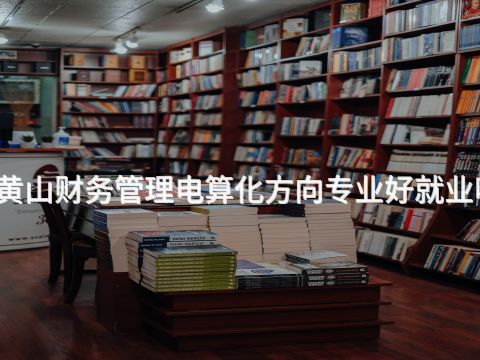 黄山财务管理电算化方向专业好就业吗