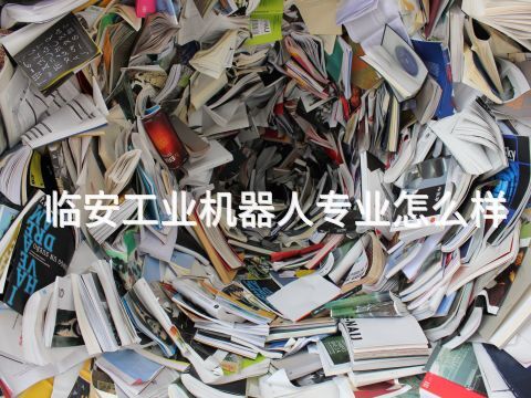 临安工业机器人专业怎么样(图1) 临安工业机器人专业怎么样(图1)
