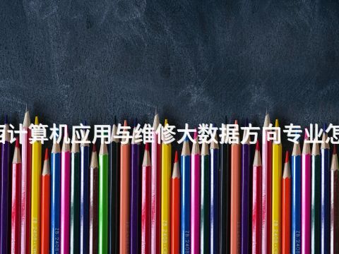 广西计算机应用与维修大数据方向专业怎么样(图1)