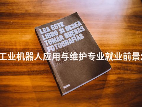 廣州工業(yè)機(jī)器人應(yīng)用與維護(hù)專(zhuān)業(yè)就業(yè)前景怎么樣
