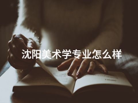 沈阳美术学专业怎么样