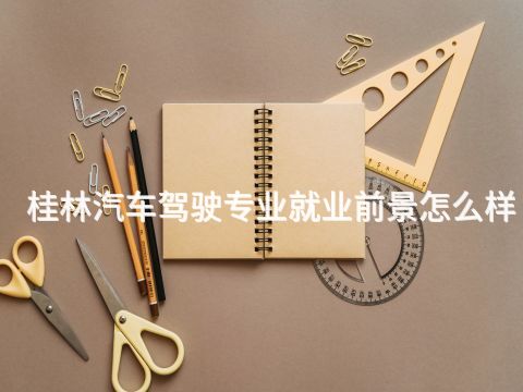 桂林汽車駕駛專業就業前景怎么樣(圖1) 桂林汽車駕駛專業就業前景怎么樣(圖1)