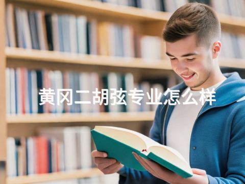 黃岡二胡弦專業(yè)怎么樣