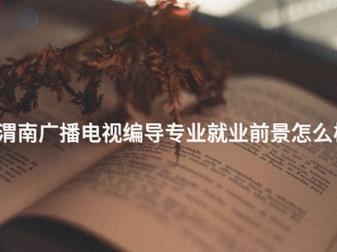 渭南广播电视编导专业就业前景怎么样