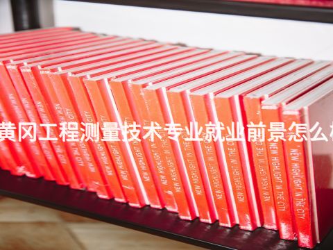 黄冈工程测量技术专业就业前景怎么样(图1) 黄冈工程测量技术专业就业前景怎么样(图1)