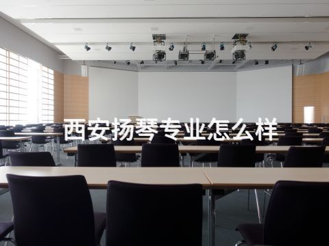 西安扬琴专业怎么样(图1) 西安扬琴专业怎么样(图1)