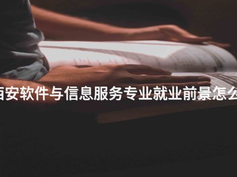 西安软件与信息服务专业就业前景怎么样