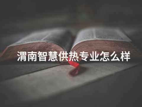 渭南智慧供熱專業(yè)怎么樣(圖1) 渭南智慧供熱專業(yè)怎么樣(圖1)