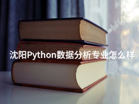 沈阳Python数据分析专业怎么样