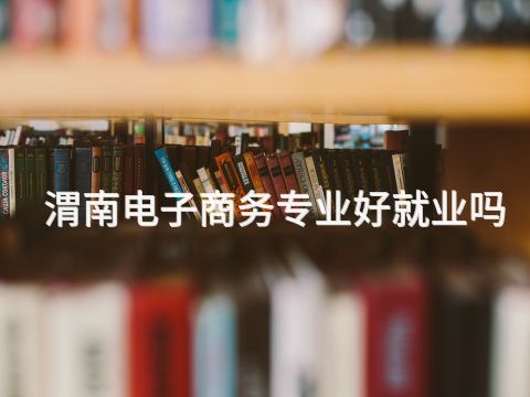 渭南电子商务专业好就业吗