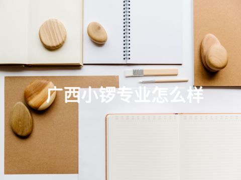 广西小锣专业怎么样