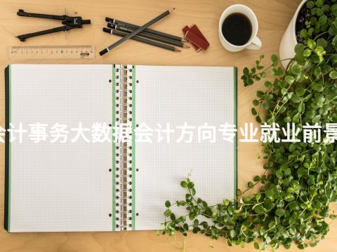 桂林会计事务大数据会计方向专业就业前景怎么样(图1) 桂林会计事务大数据会计方向专业就业前景怎么样(图1)