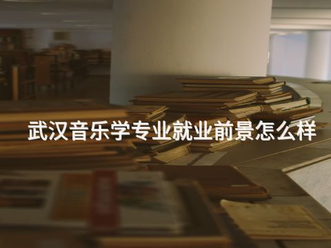 武汉音乐学专业就业前景怎么样