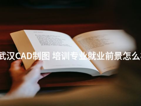 武汉CAD制图 培训专业就业前景怎么样(图1)