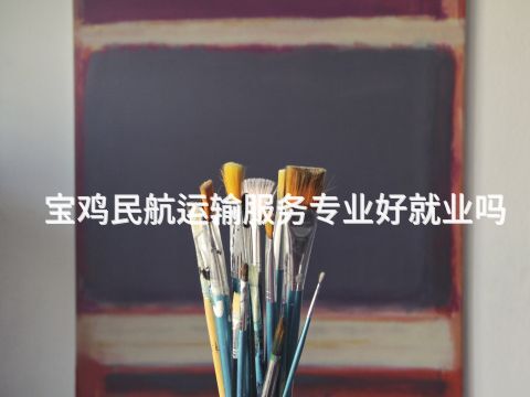 宝鸡民航运输服务专业好就业吗(图1) 宝鸡民航运输服务专业好就业吗(图1)