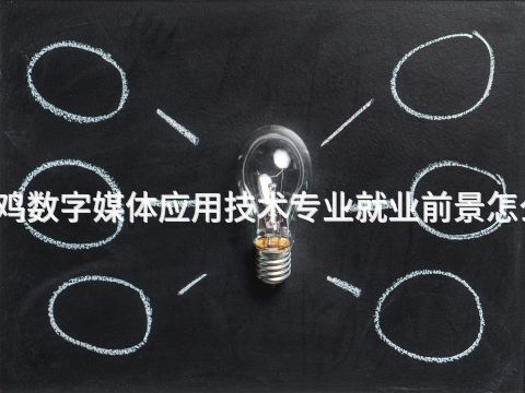 宝鸡数字媒体应用技术专业就业前景怎么样