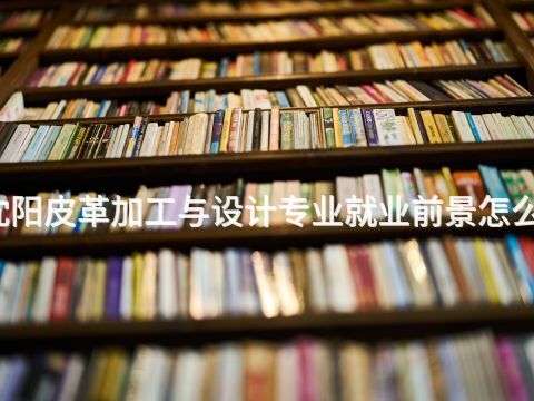 沈阳皮革加工与设计专业就业前景怎么样