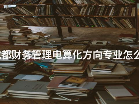 成都财务管理电算化方向专业怎么样(图1) 成都财务管理电算化方向专业怎么样(图1)