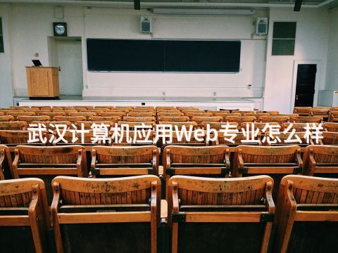 武汉计算机应用Web专业怎么样
