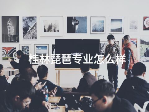 桂林琵琶专业怎么样