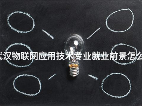 武汉物联网应用技术专业就业前景怎么样