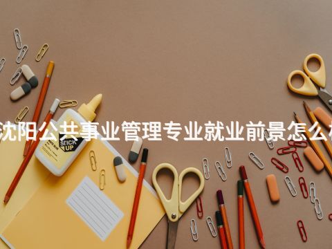 沈阳公共事业管理专业就业前景怎么样(图1)