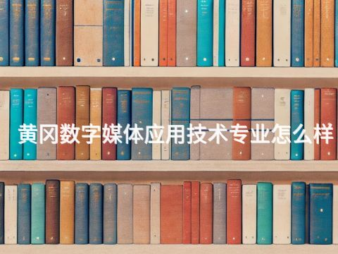 黄冈数字媒体应用技术专业怎么样