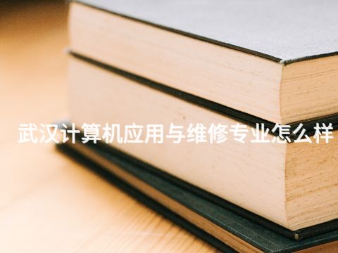 武汉计算机应用与维修专业怎么样