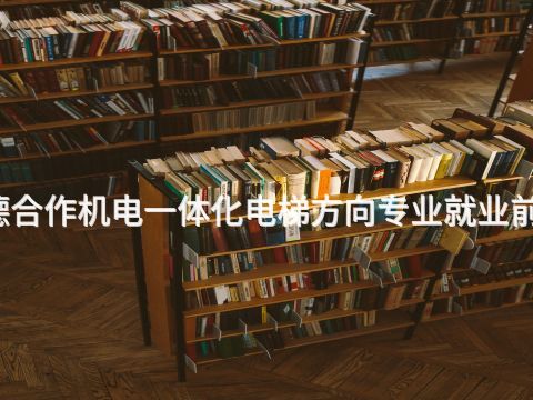 宝鸡中德合作机电一体化电梯方向专业就业前景怎么样