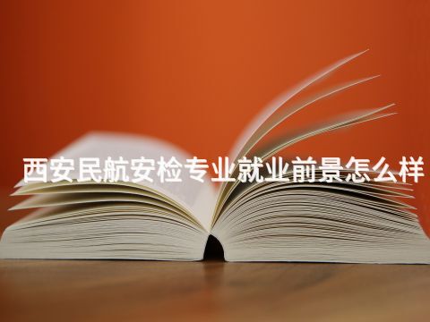 西安民航安检专业就业前景怎么样