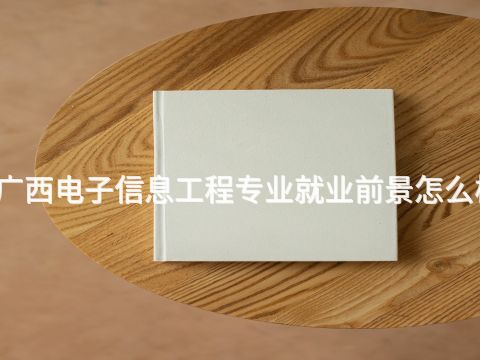 廣西電子信息工程專業(yè)就業(yè)前景怎么樣