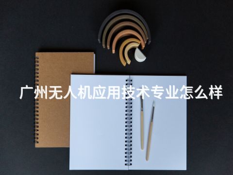 广州无人机应用技术专业怎么样