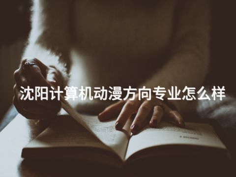 沈阳计算机动漫方向专业怎么样