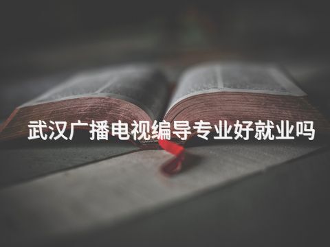 武汉广播电视编导专业好就业吗
